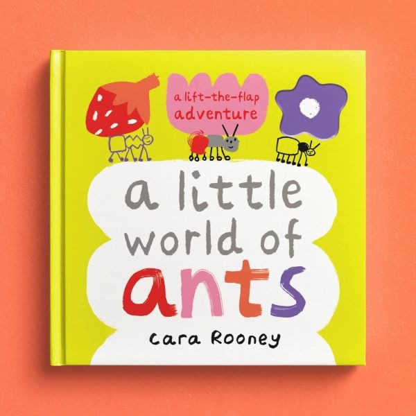 A Little World of Ants with Cara Rooney