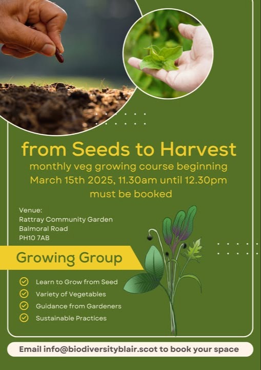 From Seeds to Harvest - monthly veg growing course